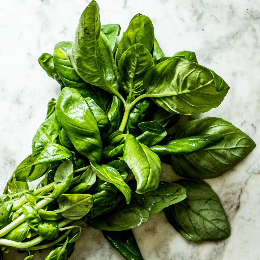 Molho pesto